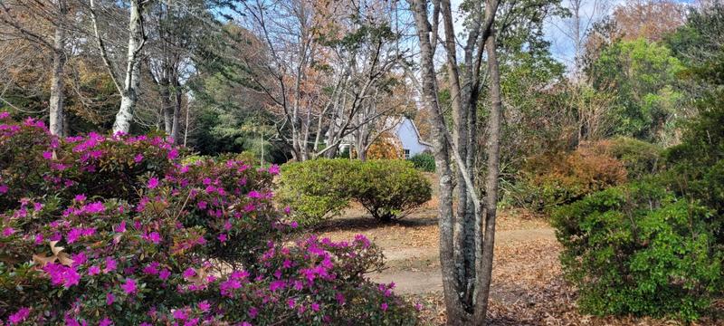 Commercial Property for Sale in Hogsback Eastern Cape